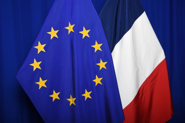 EU Member States flags alongside the European flag