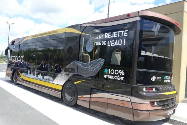bus bulle